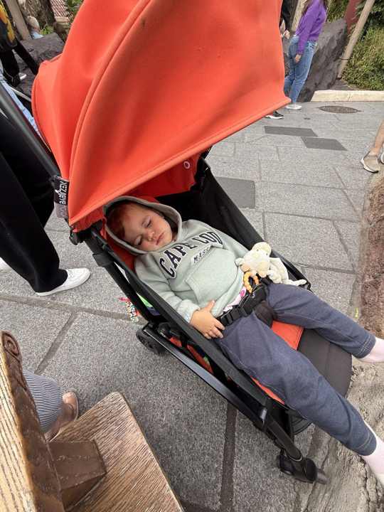 Toddler asleep in a Babyzen YoYo travel stroller at a Disney park