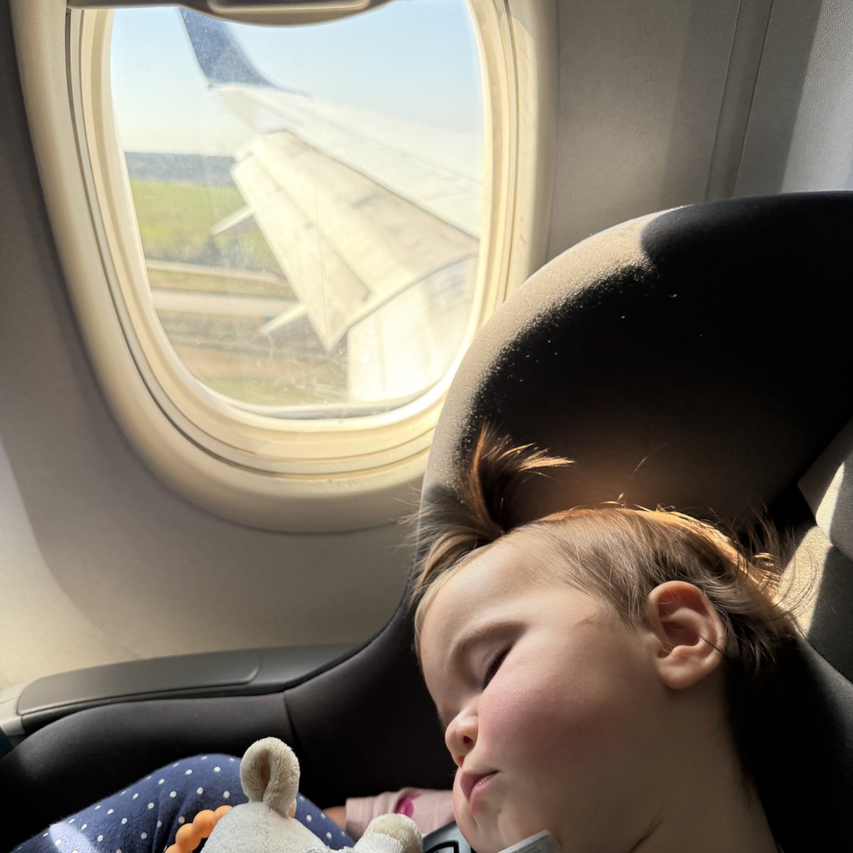 Cosco Scenera Next Review: Our  Flying Seat