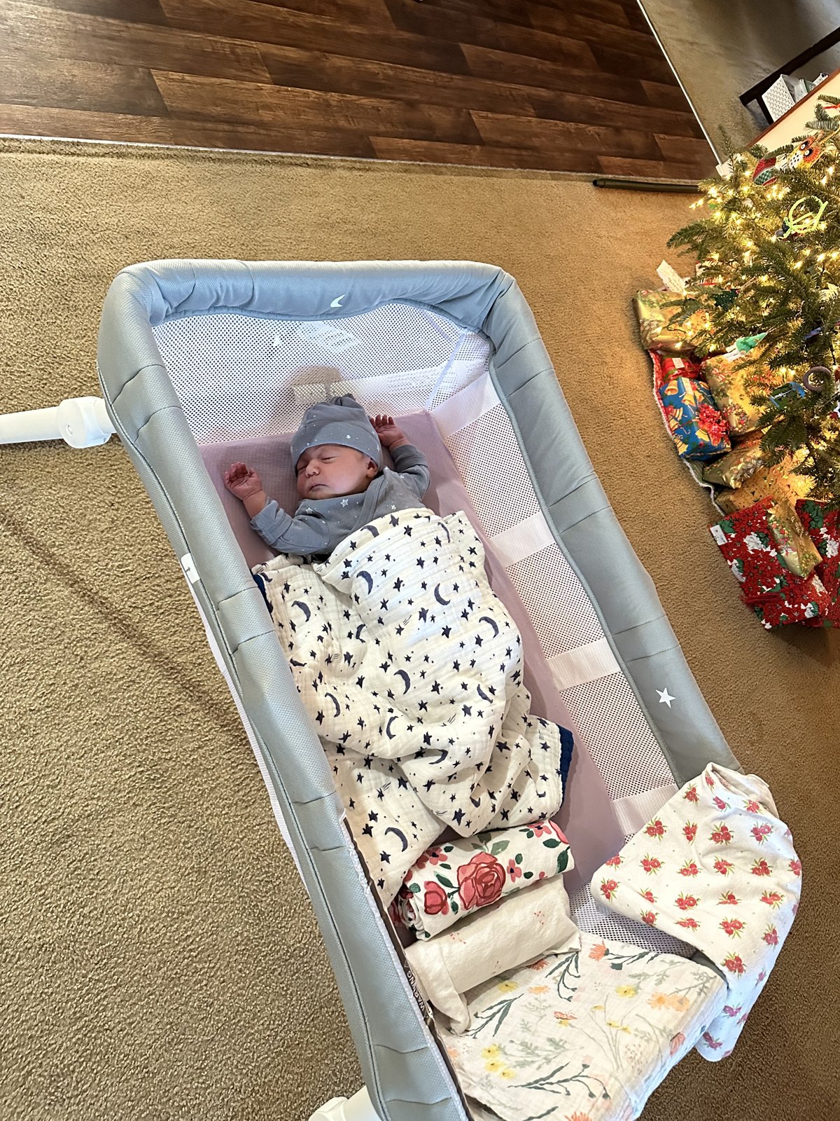 Baby sleeping in the Guava Lotus bassinet in our living room