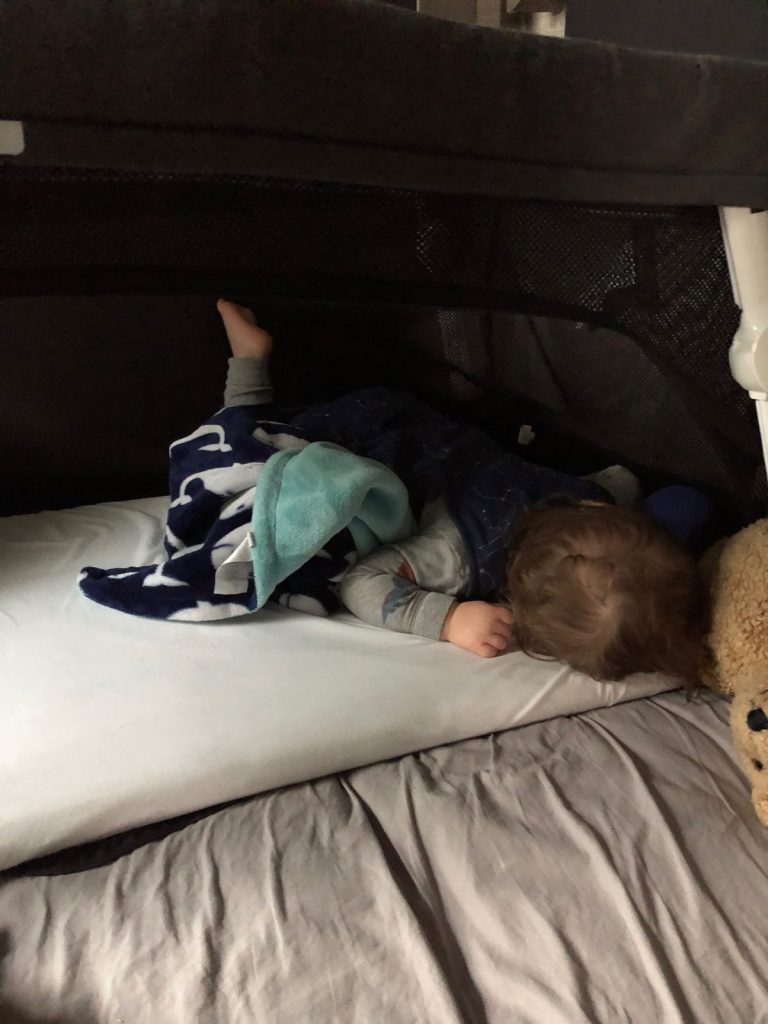 Toddler asleep in the Guava Lotus travel crib